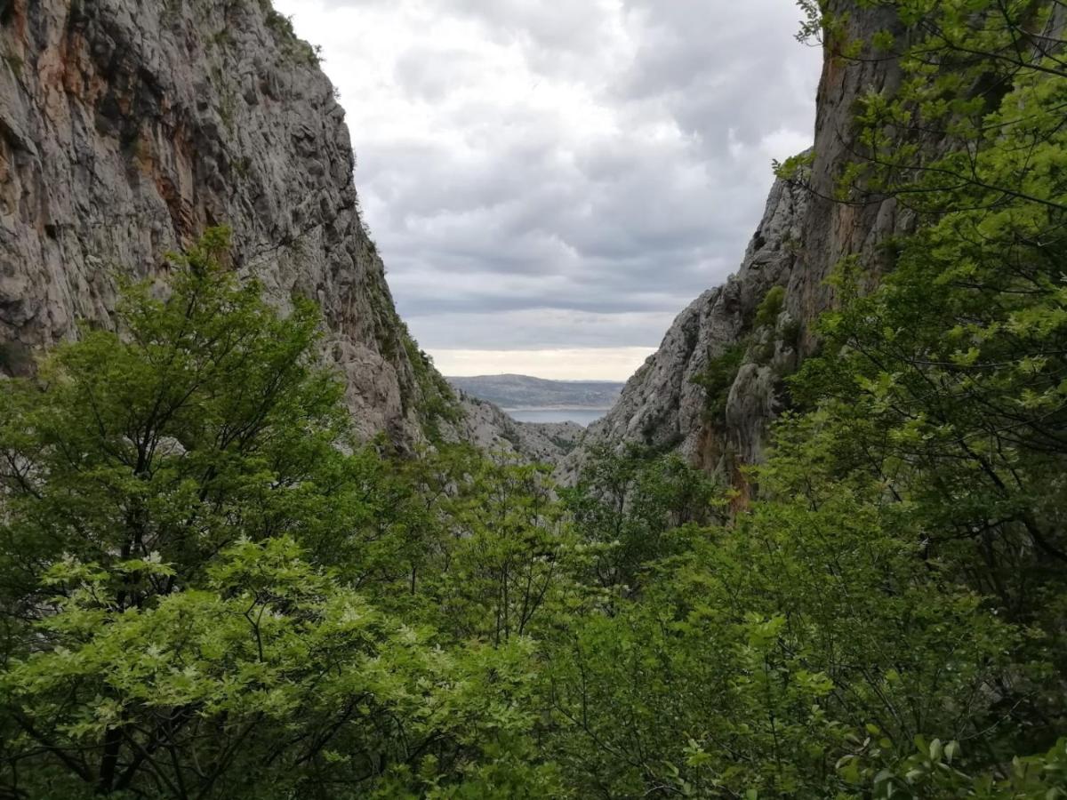Green Point Paklenica Stari Grad Kültér fotó